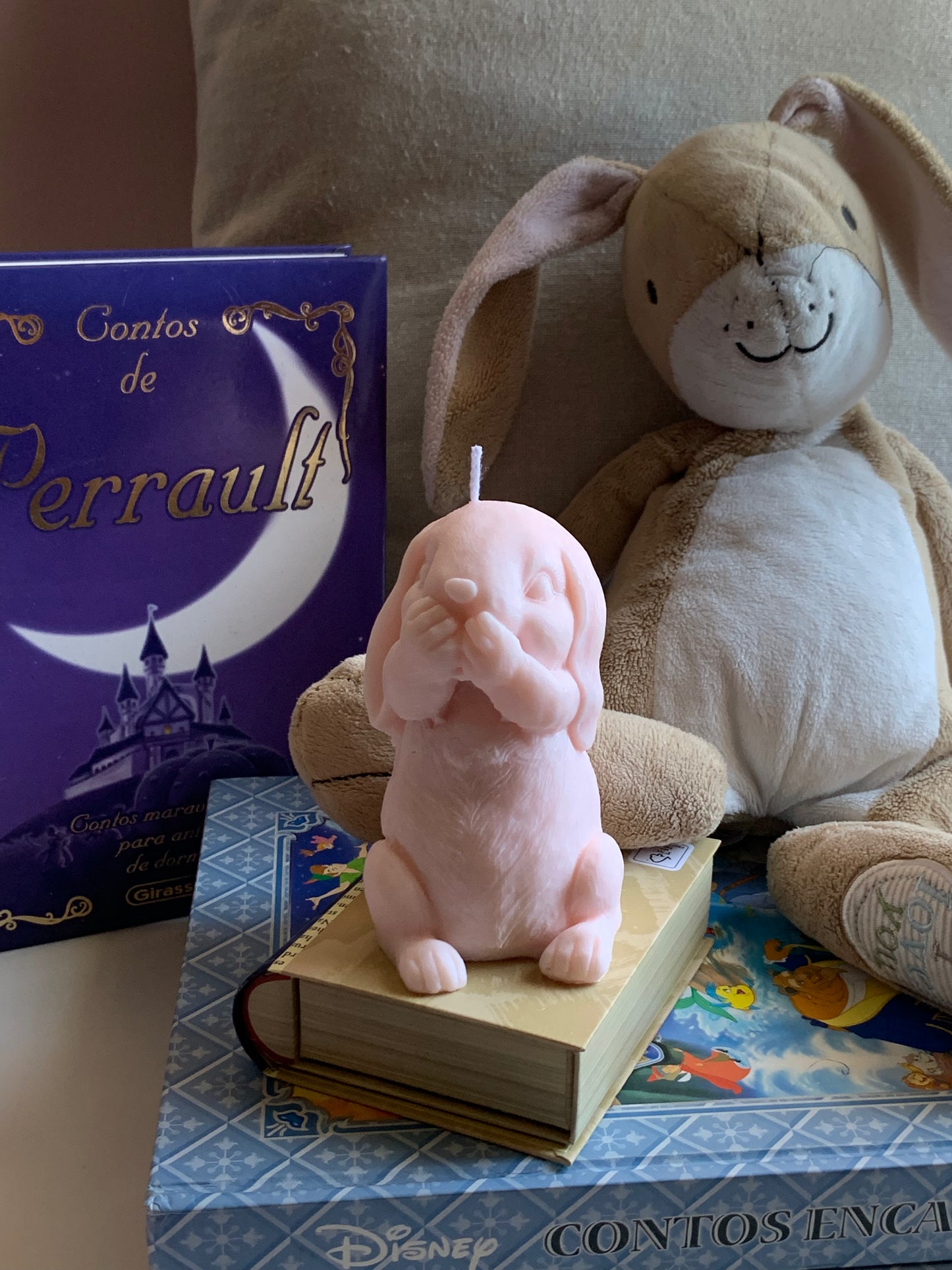 Mr. Bunny