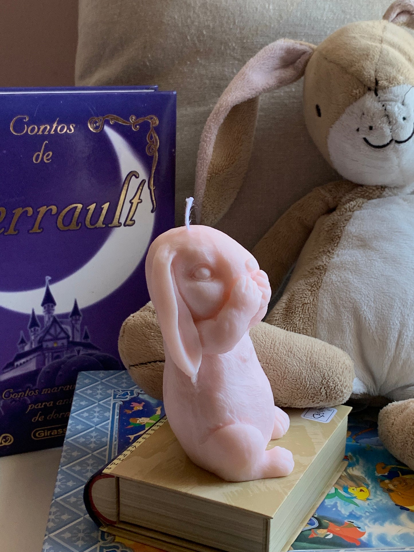 Mr. Bunny
