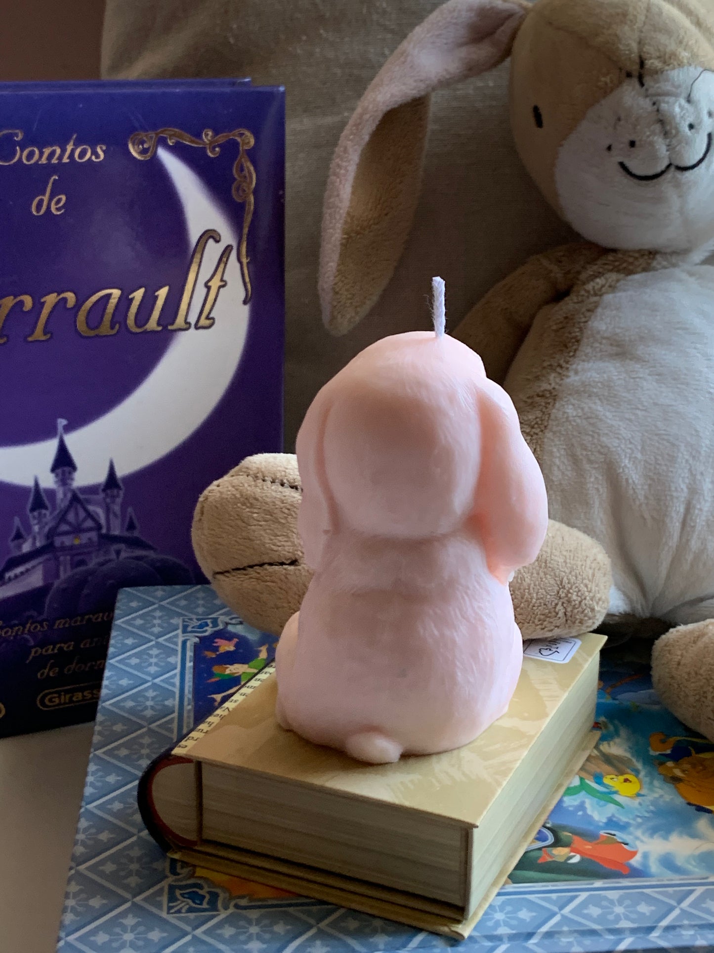 Mr. Bunny
