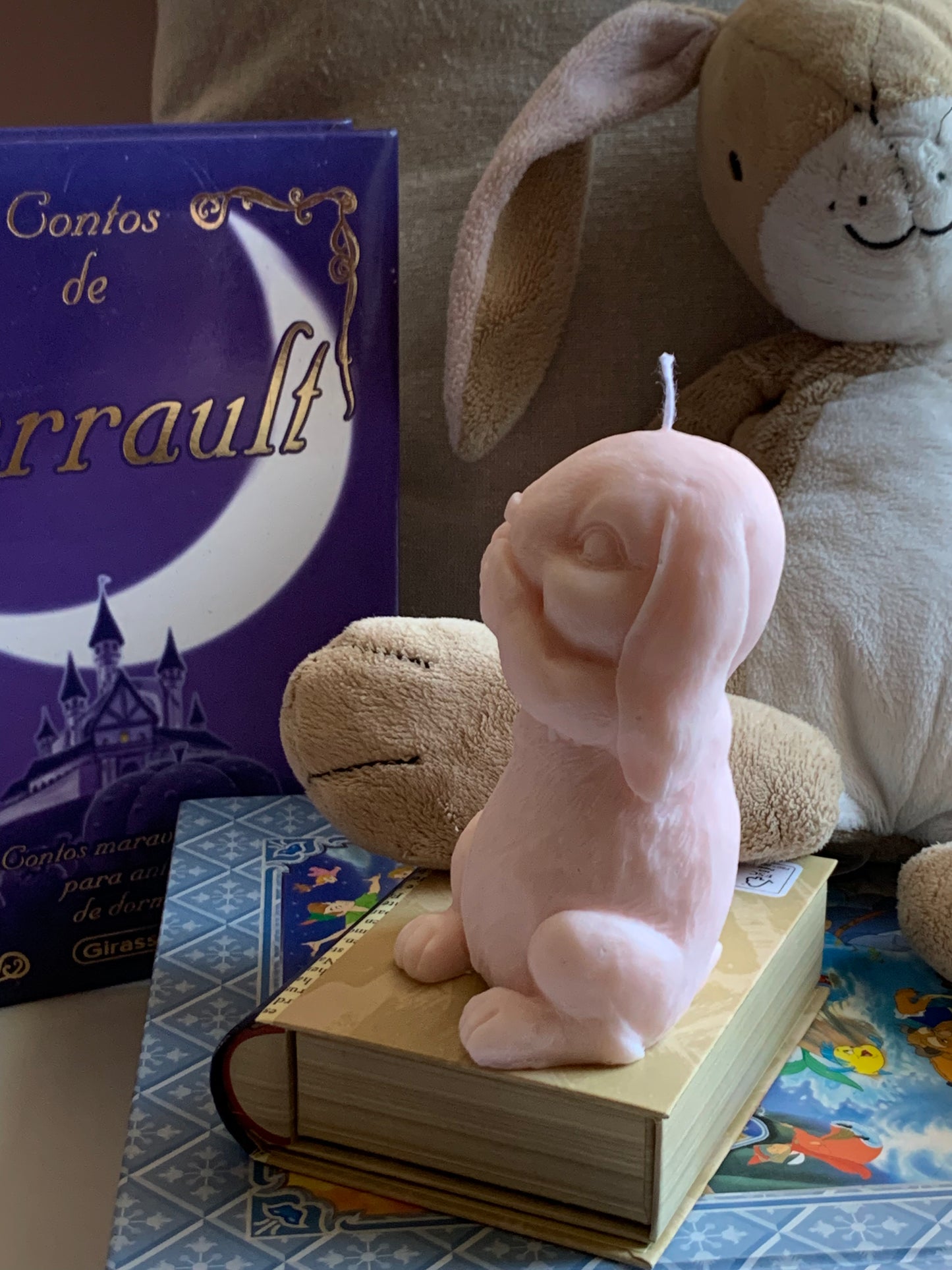 Mr. Bunny