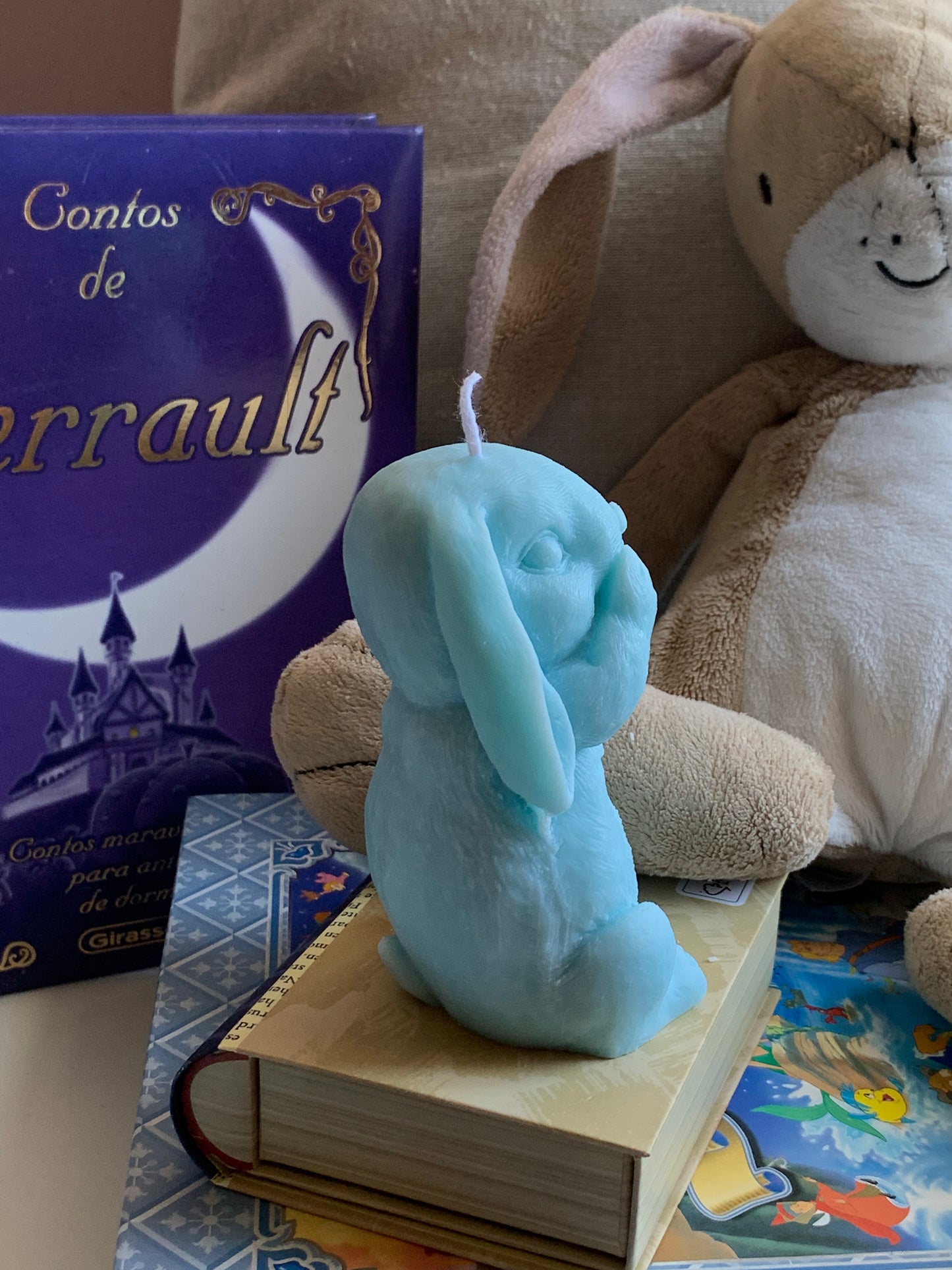 Mr. Bunny
