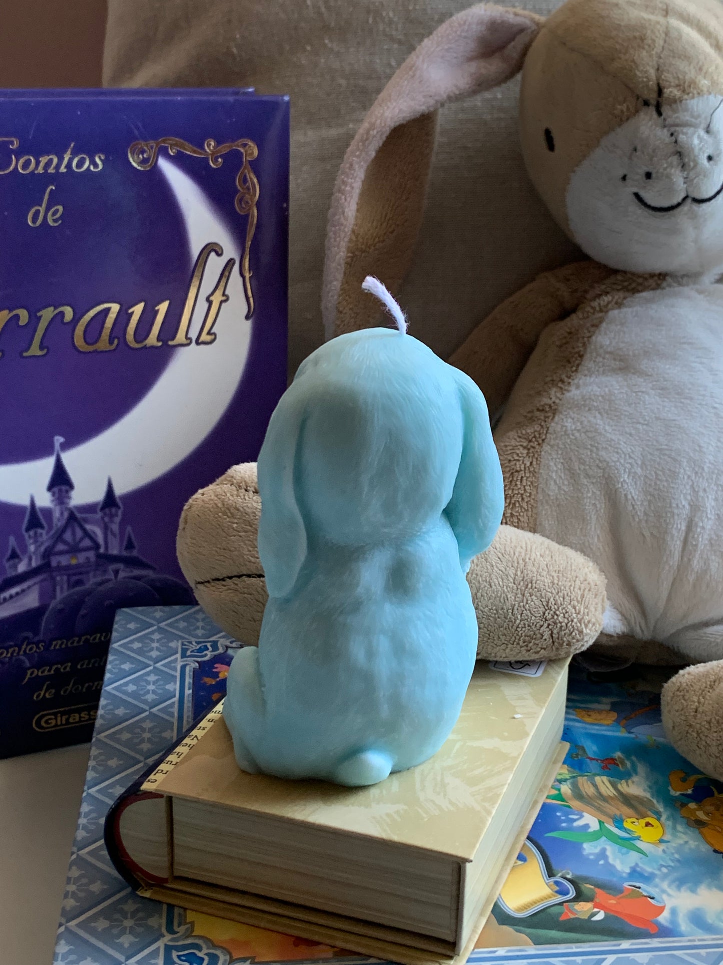 Mr. Bunny