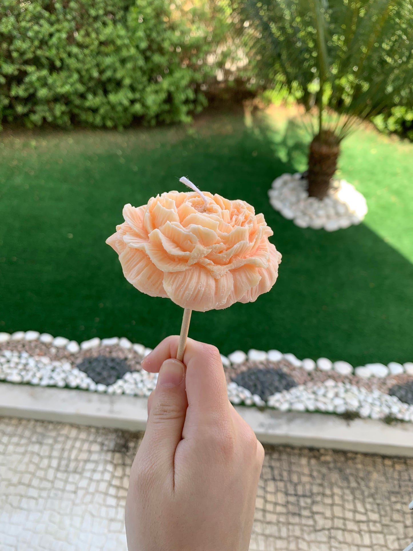 Peony (Large)